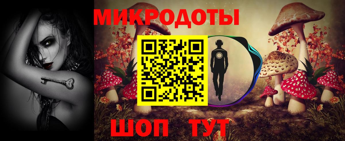 Галлюциногенные грибы Psilocybine cubensis Миллерово